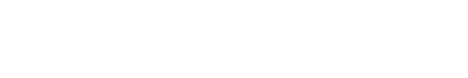 Sorgente Group Logo